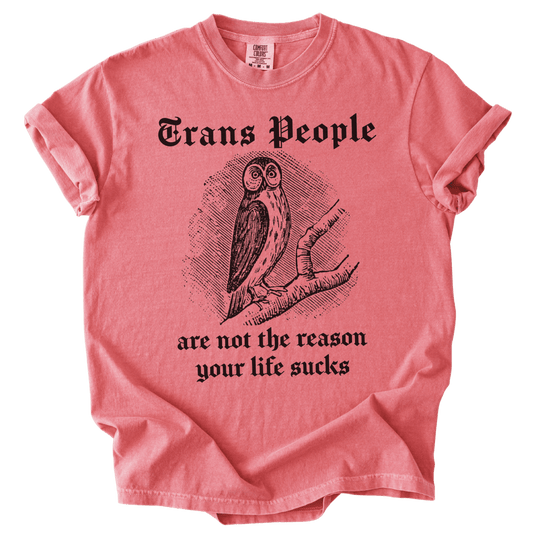 Trans People Are Not The Reason Owl Tee - The Rogue Petal Co. - T-Shirt