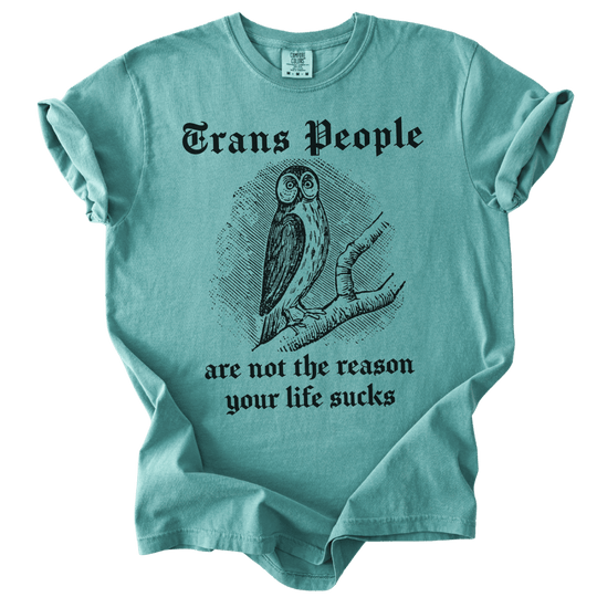 Trans People Are Not The Reason Owl Tee - The Rogue Petal Co. - T-Shirt