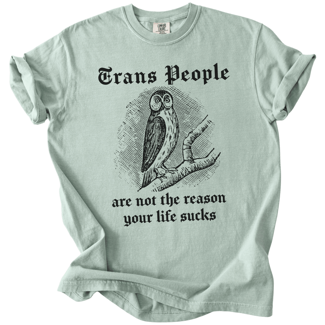 Trans People Are Not The Reason Owl Tee - The Rogue Petal Co. - T-Shirt