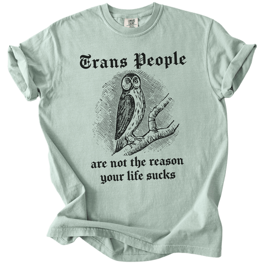 Trans People Are Not The Reason Owl Tee - The Rogue Petal Co. - T-Shirt