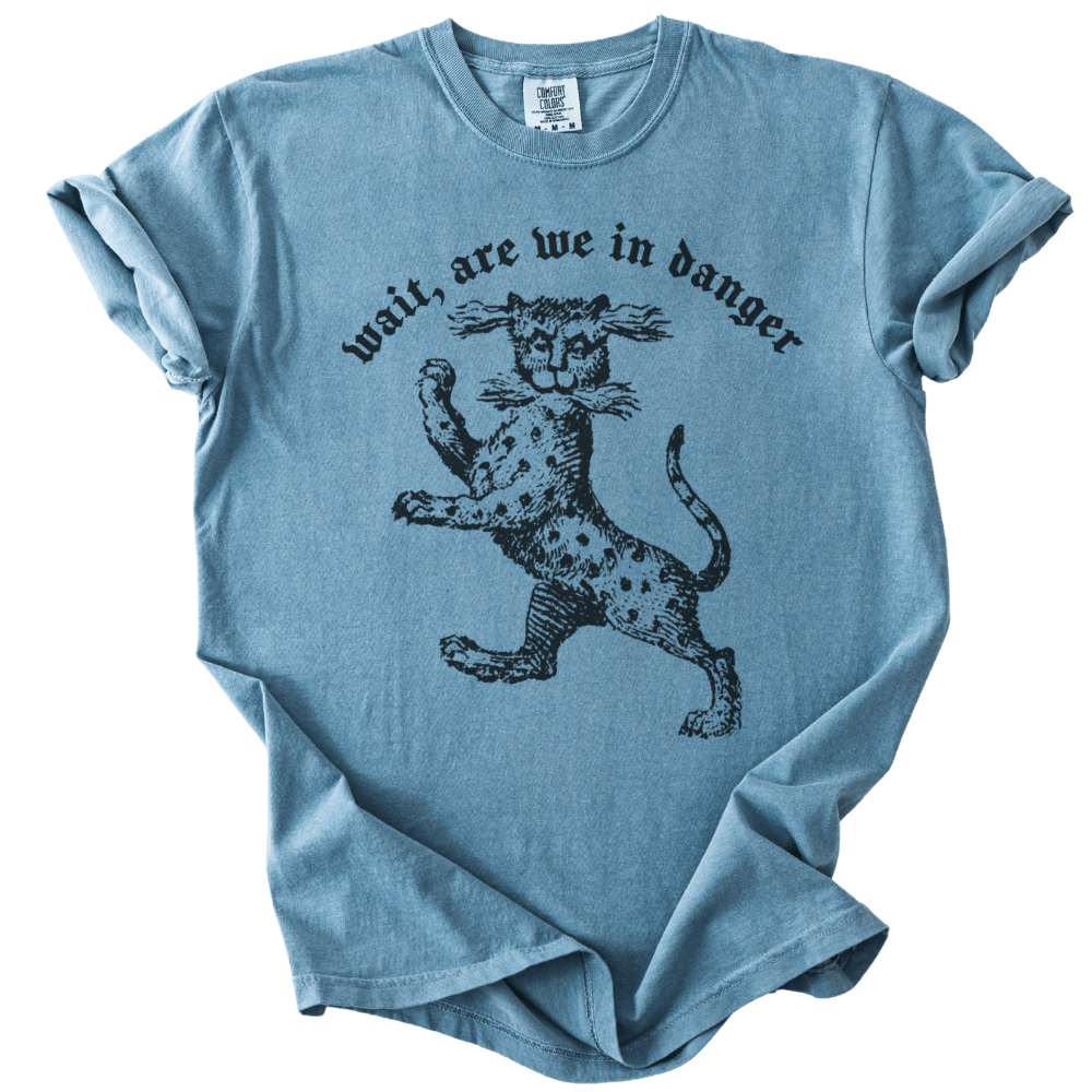 Wait, Are We in Danger Tee - The Rogue Petal Co. - T-Shirt