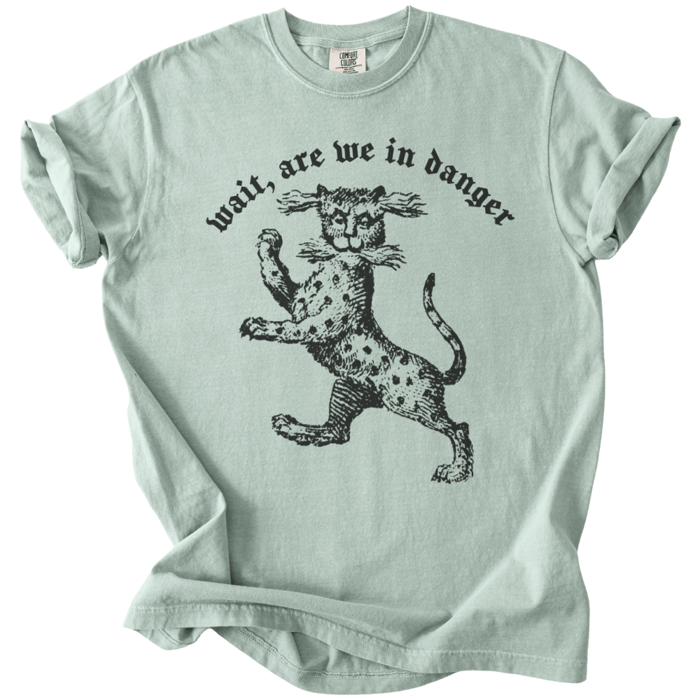 Wait, Are We in Danger Tee - The Rogue Petal Co. - T-Shirt