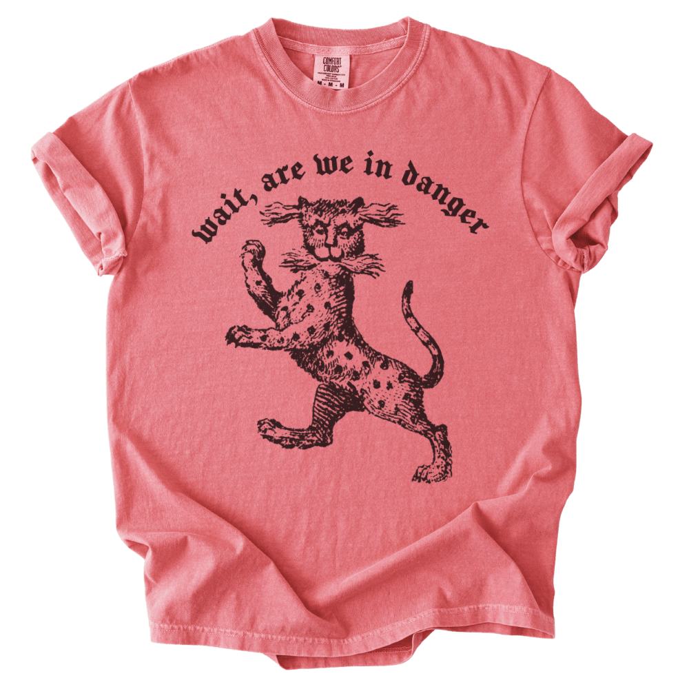 Wait, Are We in Danger Tee - The Rogue Petal Co. - T-Shirt