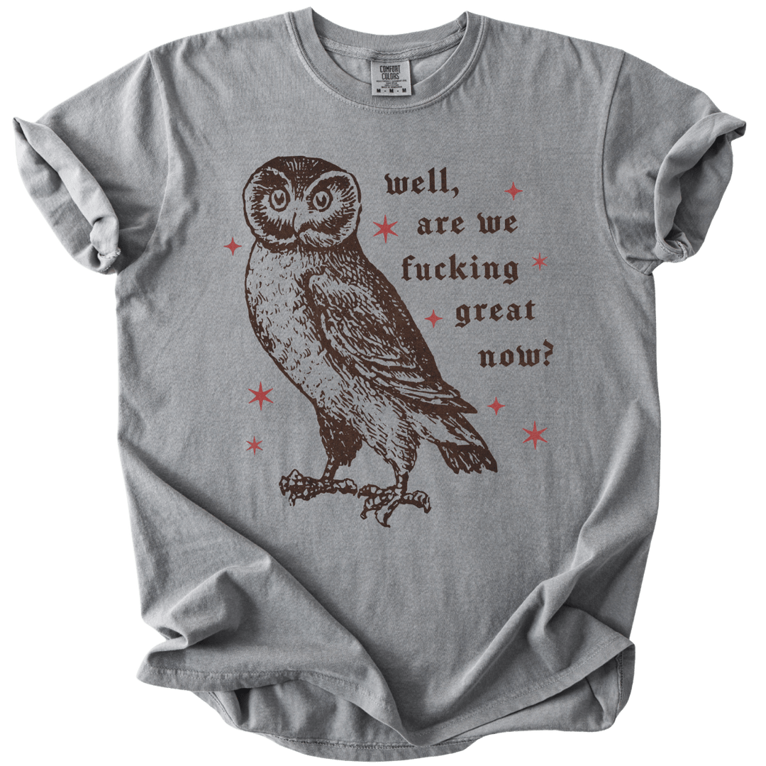 Well, Are We Fucking Great Now? Tee - The Rogue Petal Co. - T-Shirt