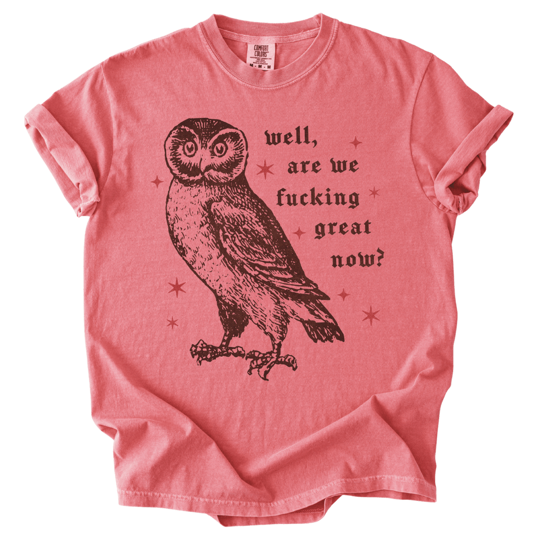 Well, Are We Fucking Great Now? Tee - The Rogue Petal Co. - T-Shirt