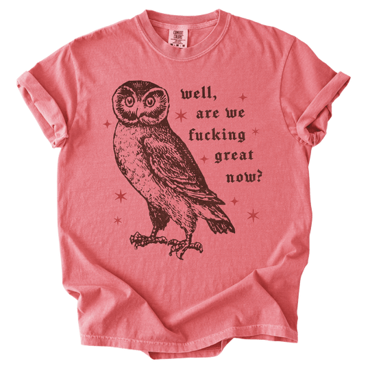 Well, Are We Fucking Great Now? Tee - The Rogue Petal Co. - T-Shirt